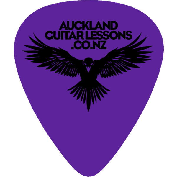 Picks - Pack of 5